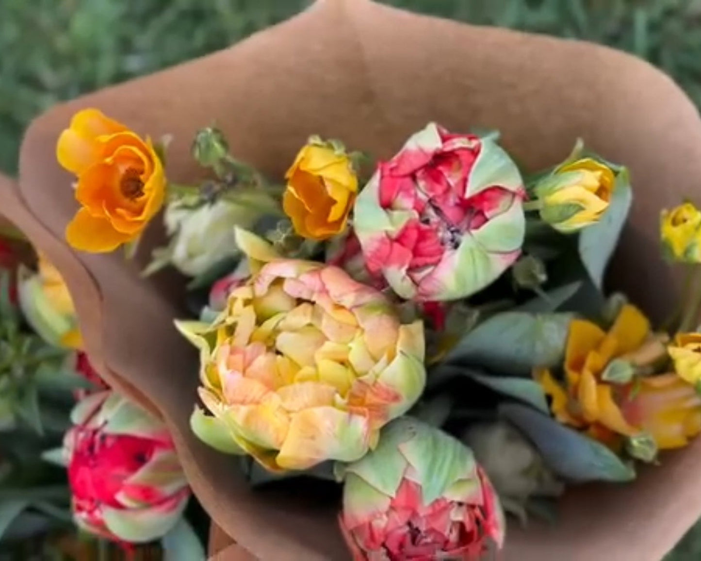 Exclusive Valentine's Day Tulip Subscription