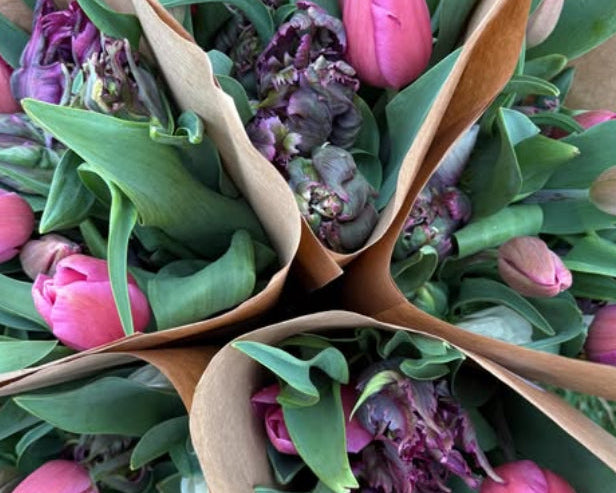 Spring Tulip Subscription