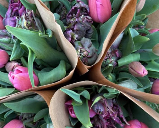 Spring Tulip Subscription