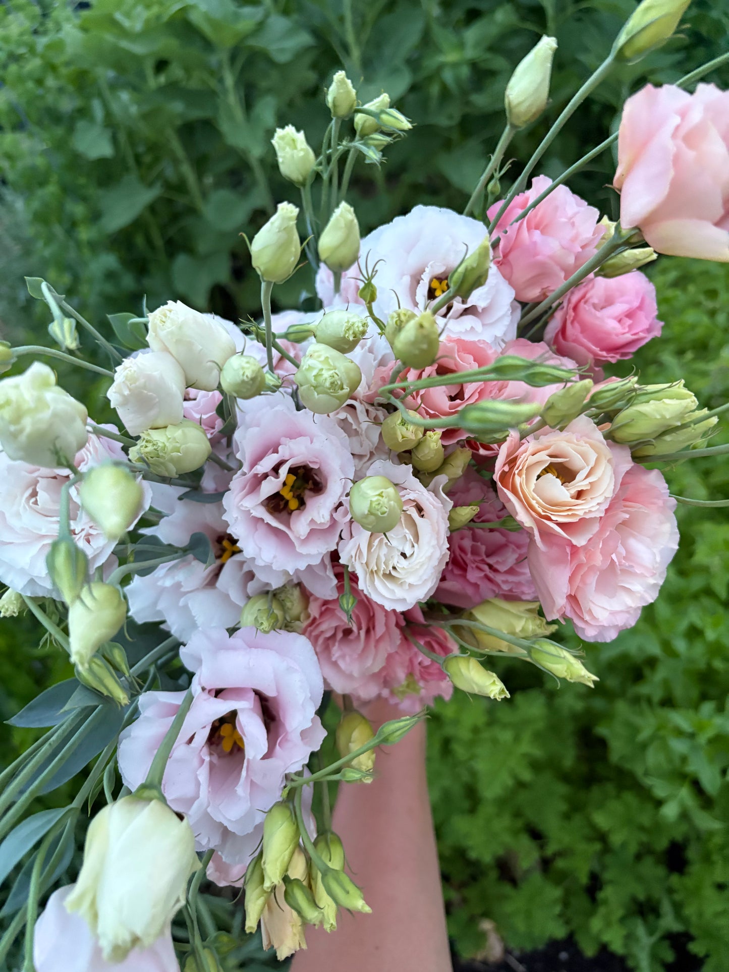 Specialty Lisianthus Bouquet