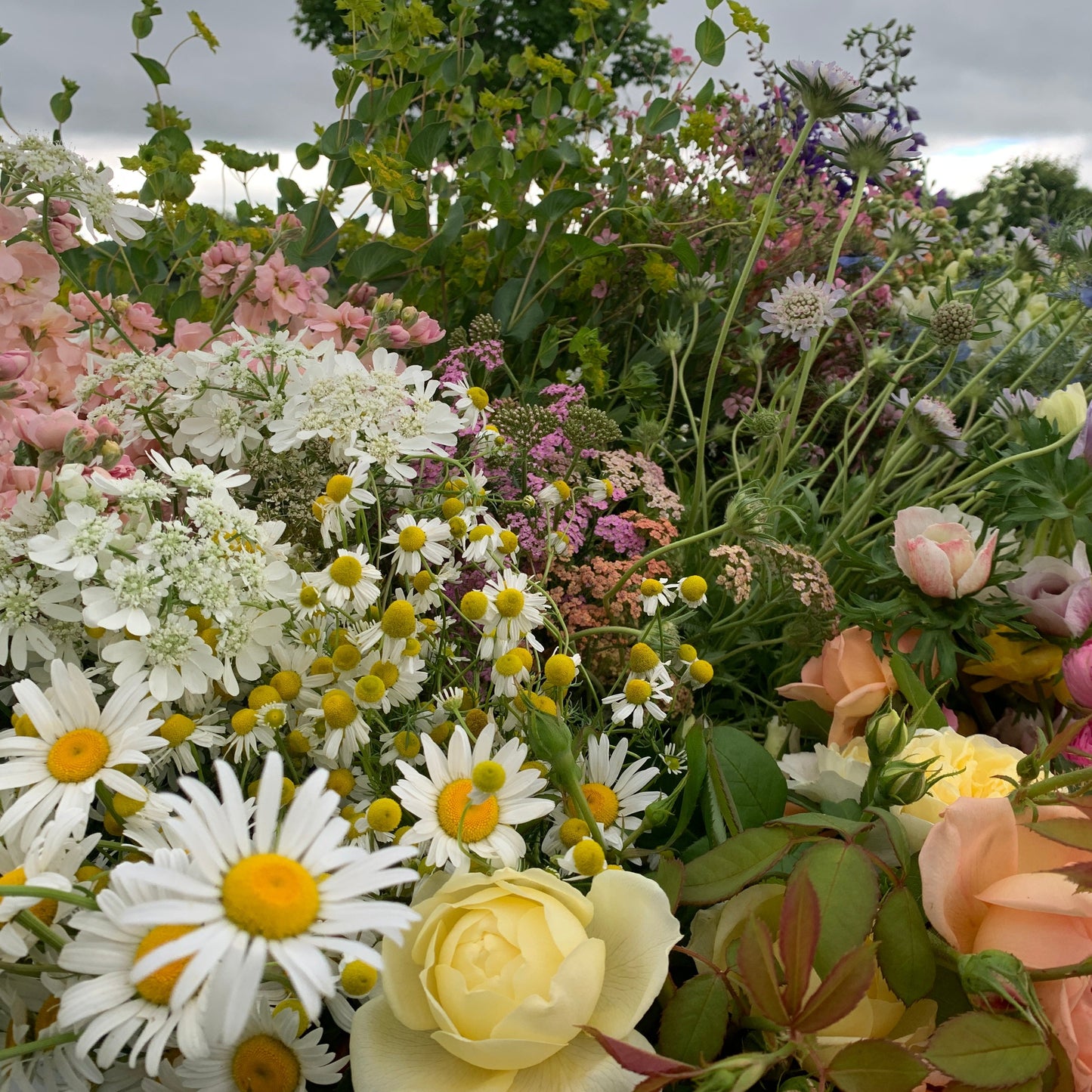 Do-It-Yourself Flower Buckets